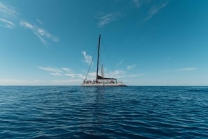 Tenerife: Catamaran Cruise with Brunch and Unlimited Drinks