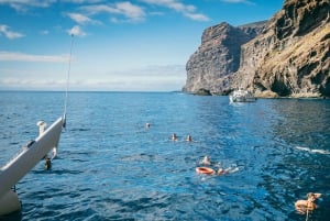 Tenerife: Catamaran Cruise with Lunch and Open Bar