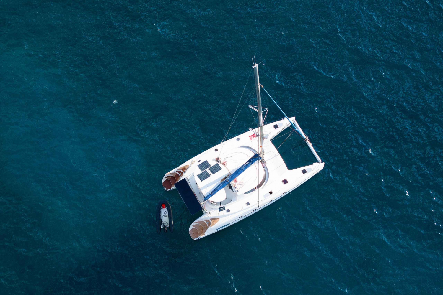 Tenerife: Catamaran zeiltocht met snorkelen en lunch