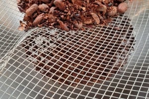 Tenerife Chocolate Workshop: A Sensory Journey