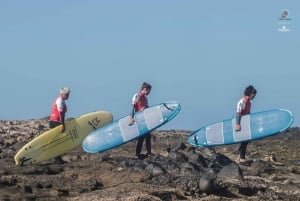 Tenerife : clases de surf para principiantes y intermedios