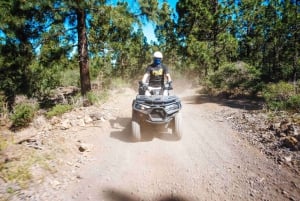 Tenerife: Coastal Sights to Woodland Heights Quad Tour