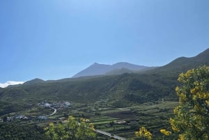 Tenerife: Coastal Sights to Woodland Heights Quad Tour