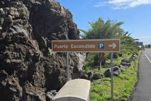 Tenerife: Coastal Sights to Woodland Heights Quad Tour