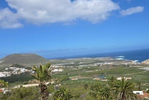 Tenerife: Coastal Sights to Woodland Heights Quad Tour