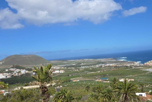 Tenerife: Coastal Sights to Woodland Heights Quad Tour