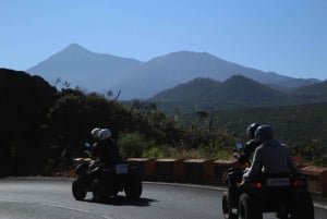 Teneriffa: Rannikon nähtävyydet ja metsän korkeudet -mönkijäkierros