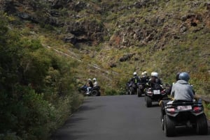 Teneriffa: Rannikon nähtävyydet ja metsän korkeudet -mönkijäkierros