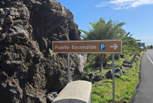 Teneriffa: Rannikon nähtävyydet ja metsän korkeudet -mönkijäkierros