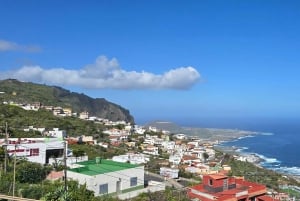 Teneriffa: Rannikon nähtävyydet ja metsän korkeudet -mönkijäkierros