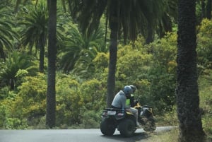 Teneriffa: Rannikon nähtävyydet ja metsän korkeudet -mönkijäkierros