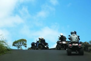 Teneriffa: Rannikon nähtävyydet ja metsän korkeudet -mönkijäkierros