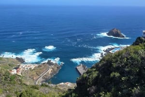 Teneriffa: Rannikon nähtävyydet ja metsän korkeudet -mönkijäkierros