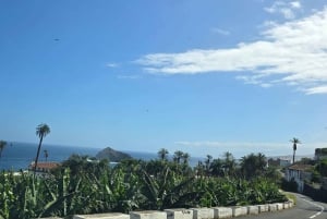 Teneriffa: Rannikon nähtävyydet ja metsän korkeudet -mönkijäkierros
