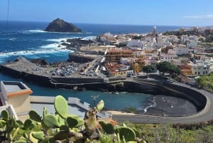 Teneriffa: Rannikon nähtävyydet ja metsän korkeudet -mönkijäkierros