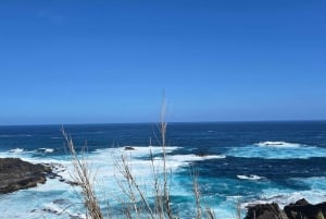 Teneriffa: Rannikon nähtävyydet ja metsän korkeudet -mönkijäkierros