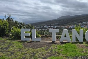 Teneriffa: Rannikon nähtävyydet ja metsän korkeudet -mönkijäkierros