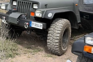 Teneryfa: Wycieczka jeepem Wrangler wzdłuż wybrzeża do Los Gigantes i południowego wybrzeża