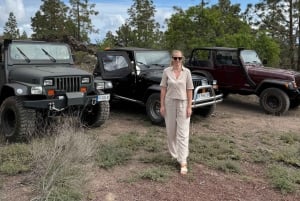 Teneryfa: Wycieczka jeepem Wrangler wzdłuż wybrzeża do Los Gigantes i południowego wybrzeża