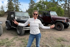 Teneryfa: Wycieczka jeepem Wrangler wzdłuż wybrzeża do Los Gigantes i południowego wybrzeża