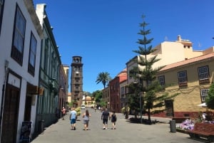 Tenerife: Complete Island Tour with Masca
