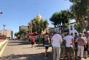 Tenerife: Complete Island Tour with Masca