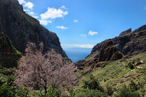 Tenerife: Excursão completa à ilha com Masca