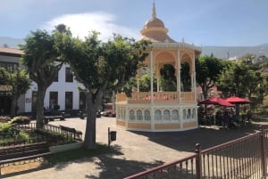 Tenerife: Excursão completa à ilha com Masca