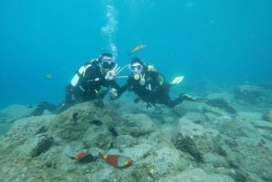 Tenerife: Costa Adeje Private Diving Lesson Experience