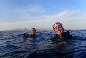 Tenerife: Experiência de aula particular de mergulho na Costa Adeje
