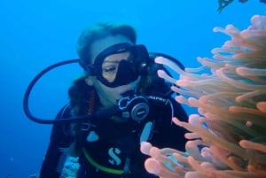 Teneriffa: Costa Adejen yksityinen sukellustuntikokemus