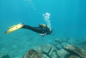 Tenerife: experiencia de clase privada de buceo en Costa Adeje