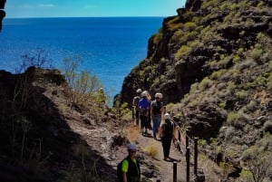 Tenerife: Descenso del Barranco de Masca con Audioguía y traslado en barco