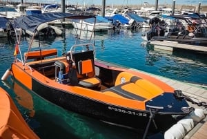 Tenerife: Discover Los Gigantes While Navigating a Boat