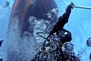 Tenerife: Descubre la Aventura del Buceo, PADI