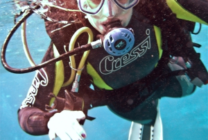 Tenerife: Descubre la Aventura del Buceo, PADI