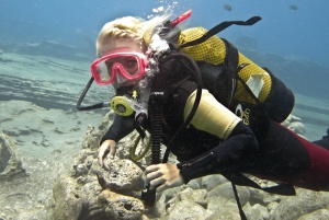 テネリフェ島スキューバダイビング・ディスカバリー・アドベンチャー, PADI