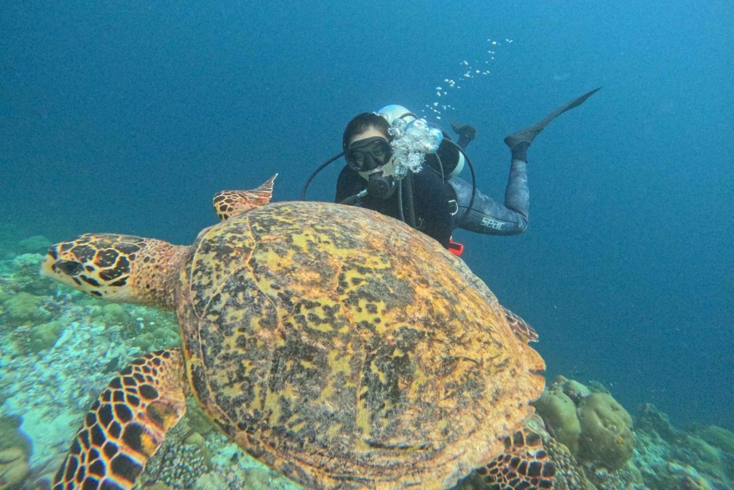 Teneriffa - Discover Scuba Diving Experience opettajan kanssa