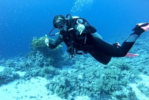 Tenerife - Discover Scuba Diving Experience with Instructor