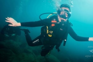 Tenerife; Discover Scuba diving pool and boat max 2 students