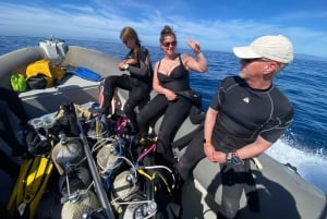 S. Tenerife: 2 Dives for Beginners (Beach + Boat Experience)