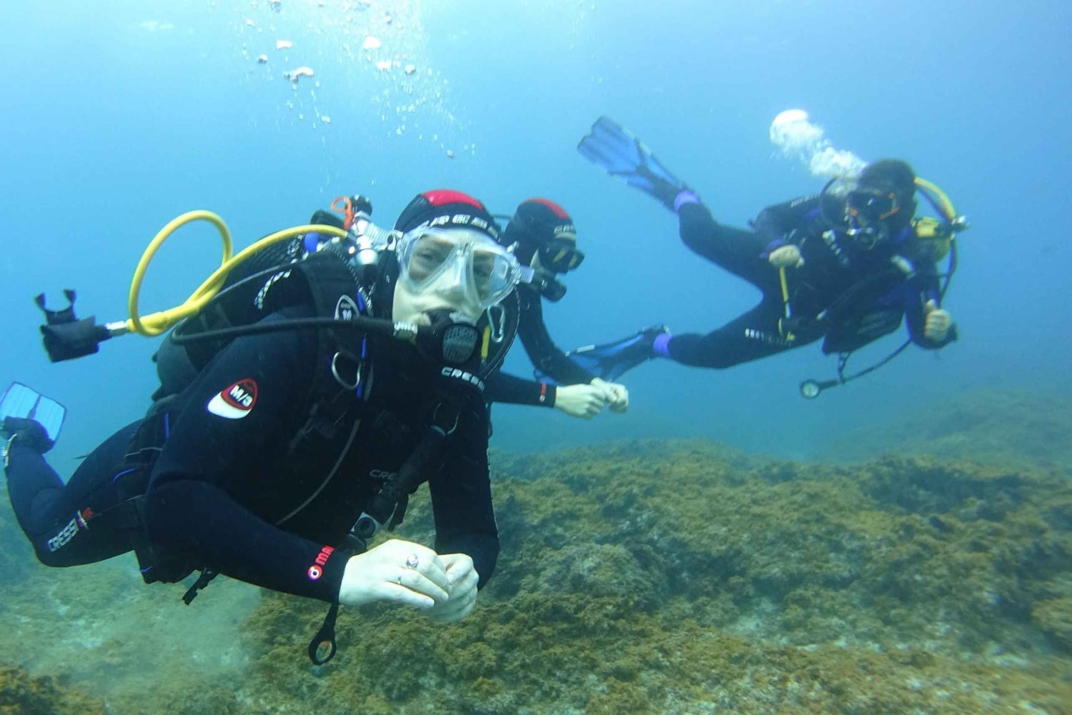 Tenerife: Oppdag dykking med gratis bilder