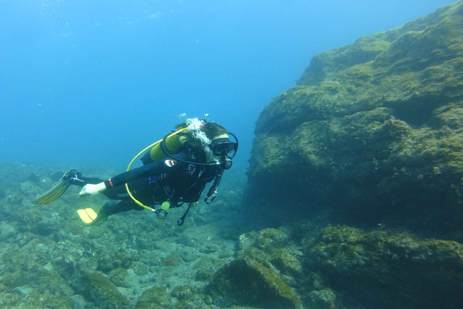 Tenerife: Oppdag dykking med gratis bilder