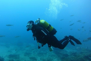Tenerife: Discover Scuba Diving with Free Photos