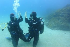 Tenerife: Oppdag dykking med gratis bilder