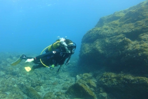 Tenerife: Oppdag dykking med gratis bilder