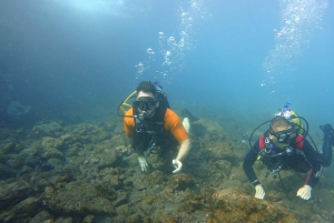 Tenerife: Oppdag dykking med gratis bilder