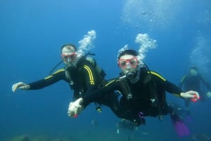 Tenerife: Puerto Colon Discover Scuba Diving Trip