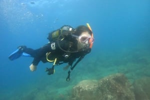 Tenerife: Puerto Colon Discover Scuba Diving Trip