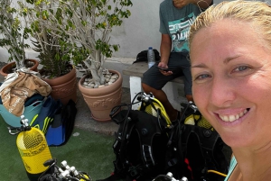 テネリフェ島：1日でダイビングライセンス